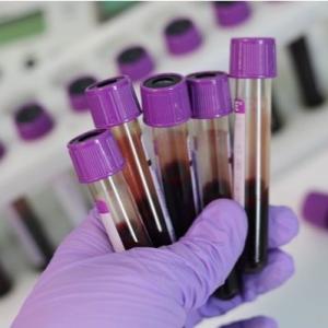 Health Research & Testing Services