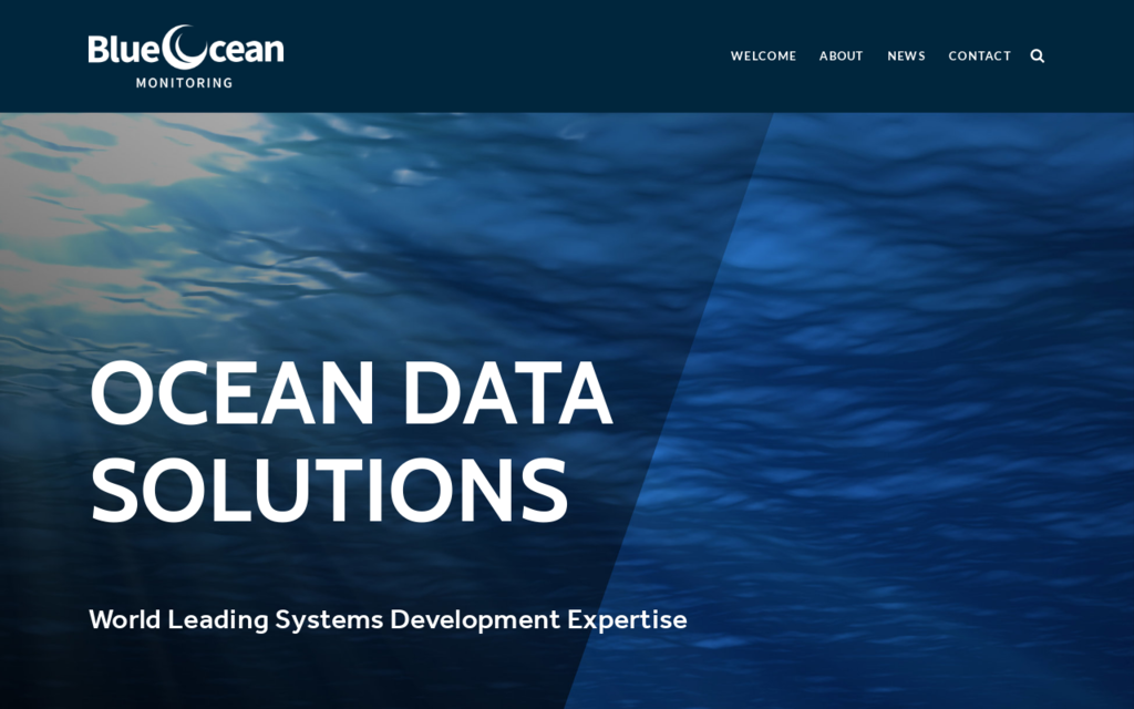 Blue Ocean Group