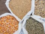 Animal Feed