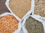Animal Feed